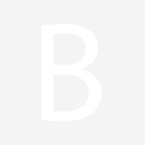Brand Preference | Significato e Definizione