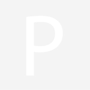 Prospect | Significato e Definizione