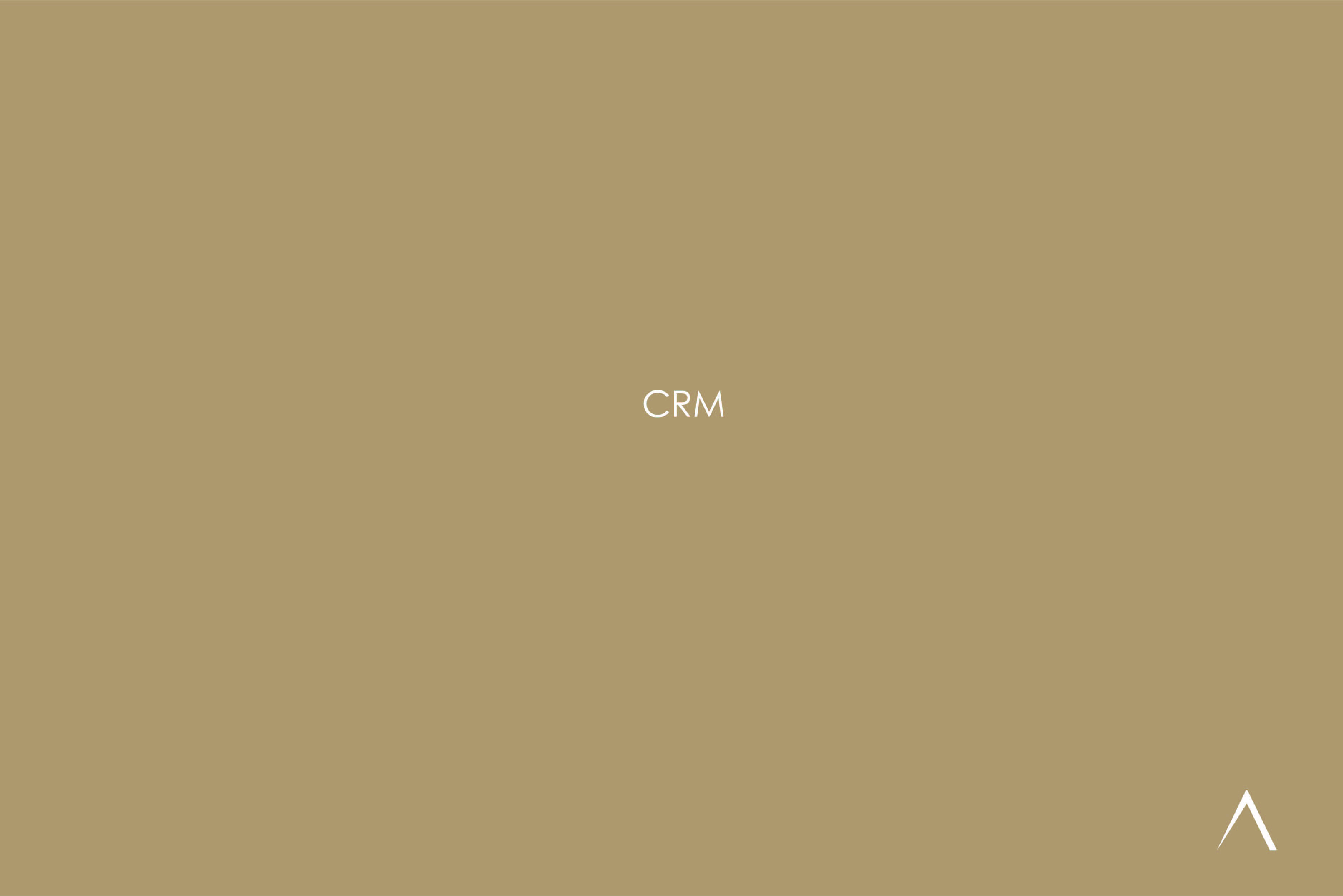 CRM: i punti a cui prestare attenzione. 